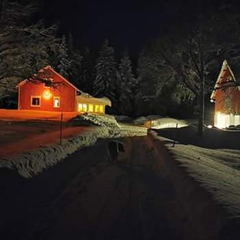 Foto 1040384