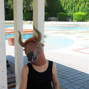 Stier Maske Bullen Kuh Fasnacht Halloween Kostüm Bild 4