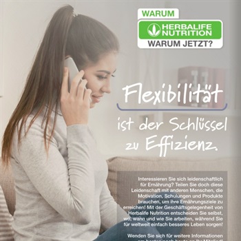 International Consulting Selbständigleit