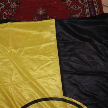 Flagge BVB Bild 2