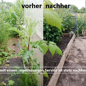 Gartenpflege & Hauswartung Zürich Bild 3