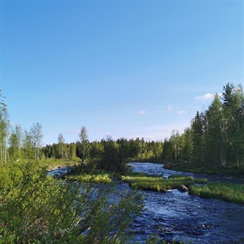 Großer Bauernhof 2 Seen Fluß in Lappland Schweden Bild 4