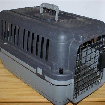 Katzentransportbox 25,00 VB Bild 3