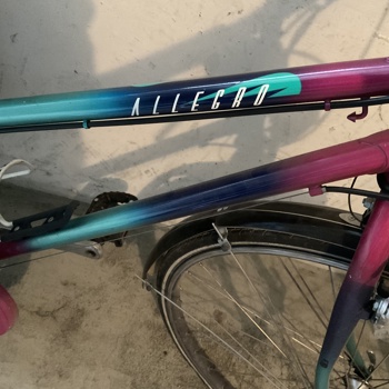 Allegro Damenvelo  Vintage Velo mit Kettenschaltung