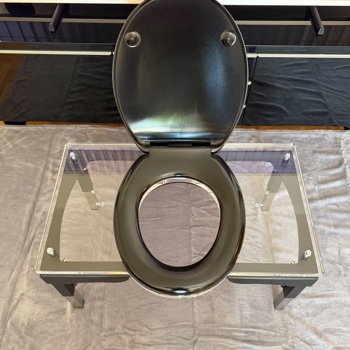 Realer Toilettensklave aus Leidenschaft zahlt 400.- und mehr Bild 3