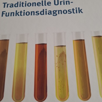 Traditionelle Urin-Funktionsdiagnostik