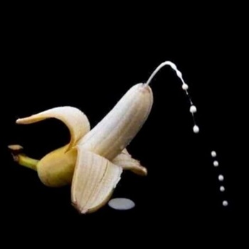 Devoter Blasdiener sucht dominante reife Männer!