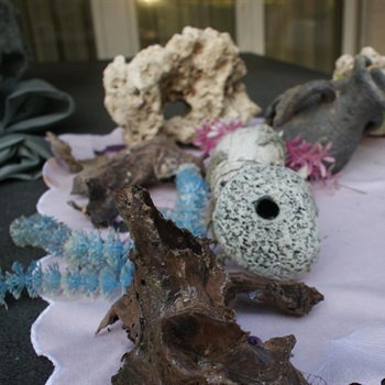 Aquarium Untensilien Bild 2