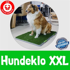  Hundetoilette Hundeklo Welpen...