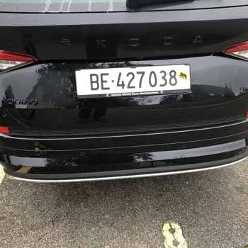 Maso Sklave sucht Männer wo mir im Bett Arsch Peitschen Bild 4