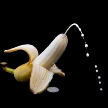 Devoter Oralsklave sucht dominante, reife Männer!