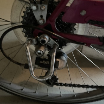 Allegro Damenvelo  Vintage Velo mit Kettenschaltung Bild 3