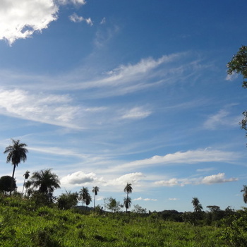 Finca mit großem Grundstück in ruhiger Lage in Sapucai / PY Bild 3