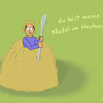 Gesucht die weibliche Nadel im Heuhaufen