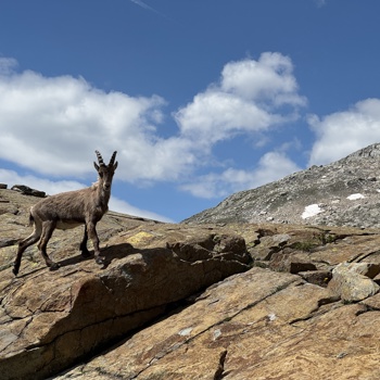 Wandern mit dem gewissen Etwas