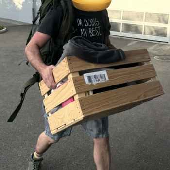 Sympathischer Jungvierziger mit eindringlichem Langzwanziger Bild 2
