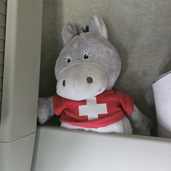 Ehefrau , Hausfrau und  Hure gesucht !