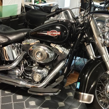 Harley
