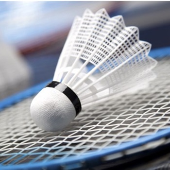  Suche (38m) Badminton-Partner...