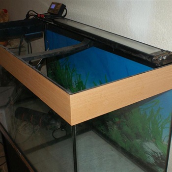 Aquarium 160 Liter Bild 3