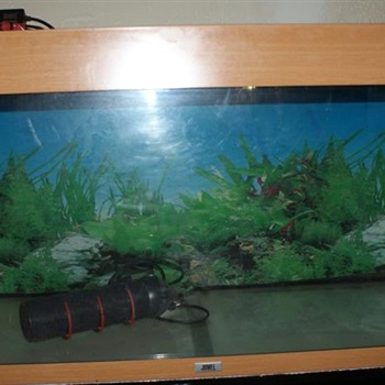 Aquarium 160 Liter Bild 2
