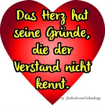 Private Damen für Pensionisten/Rentner gesucht Bild 2