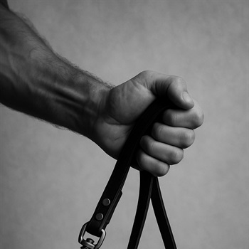 Junger Mann sucht devote Frau BDSM, Roggwil