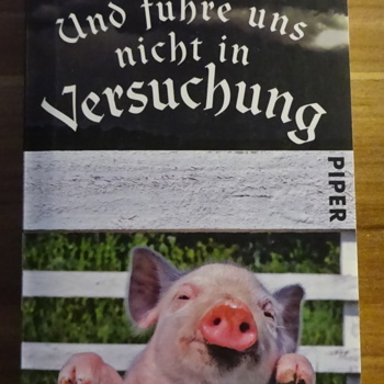 Und führe uns nicht in Versuchung von Susanne Hanika