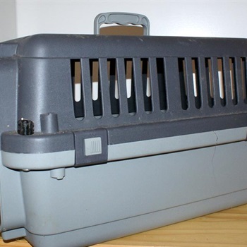 Katzentransportbox 25,00 VB Bild 2
