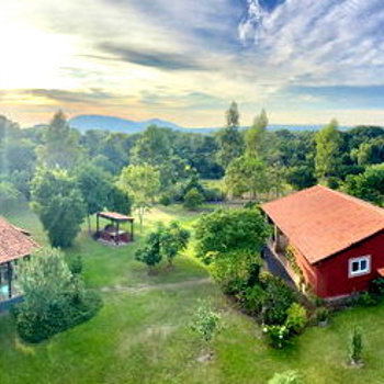 Finca mit großem Grundstück in ruhiger Lage in Sapucai / PY Bild 4
