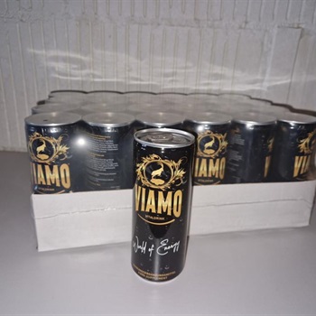 Viamo Vitaldrink Schweiz 24 Stück