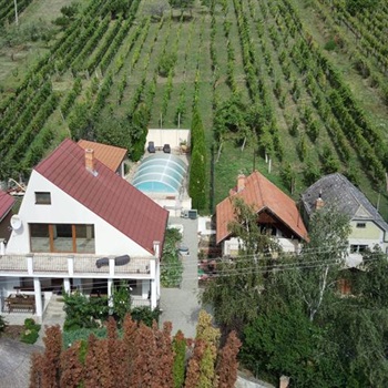 Haus mit Nebenhäusern, Pool und Weinberg in Vinica