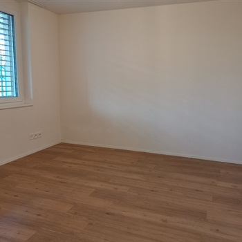 2.5 - Zimmer-Wohnung Dottikon Bild 2