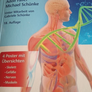 Der Körper des Menschen