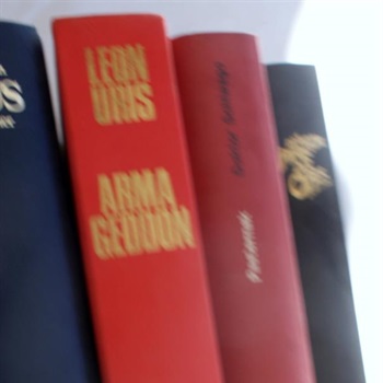 24 Diverse Bücher   100,00 VB Bild 4