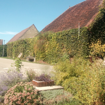 Haus / Grundstücke in Frankreich zu verkaufen Bild 2