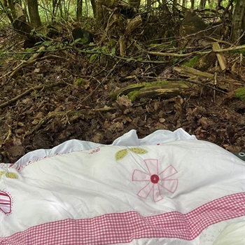 Wer wichst gerne in Mägenwiler Schwulenwald Bild 2