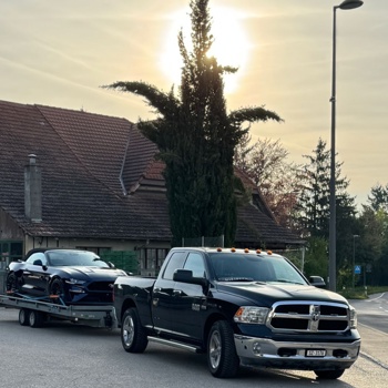 friba GmbH Transporte