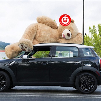 Teddy Teddybär Plüsch Bär Plüschtier XXL Plüschbär Bild 2