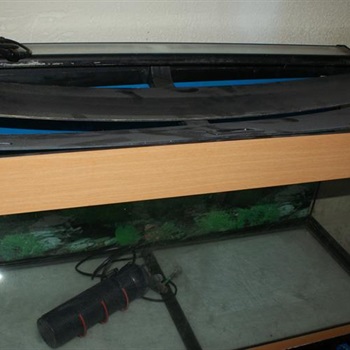 Aquarium 160 Liter Bild 4